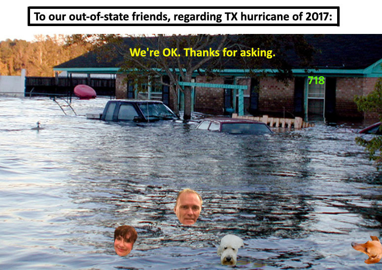 Housten TX hurricane of 2017. Jack Ritter. www.houseofwords.com