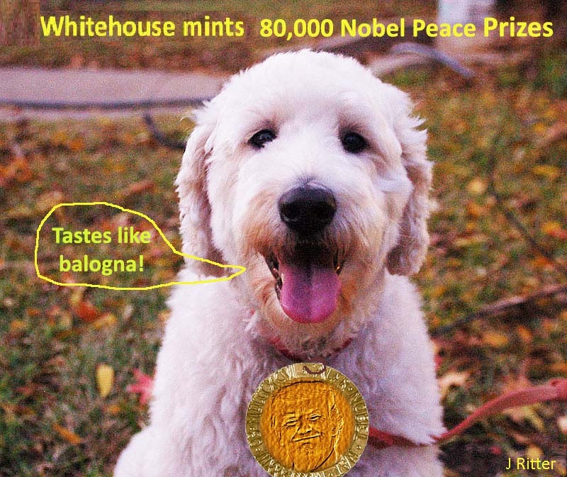 Trumps Nobel Medal. Dog awarded Nobel Prize! Trump is awarded Nobel for N Korea. Jack Ritter. www.houseofwords.com