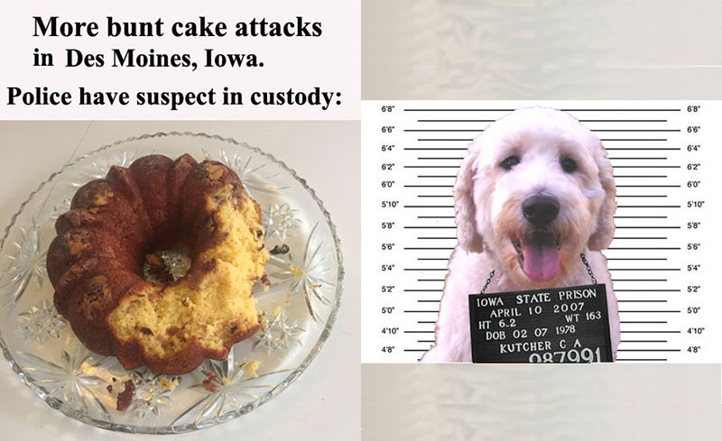 Bunt cake attack. 2016. Jack Ritter. www.houseofwords.com